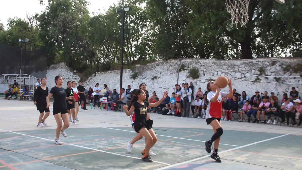 BASQUET (1) (1)